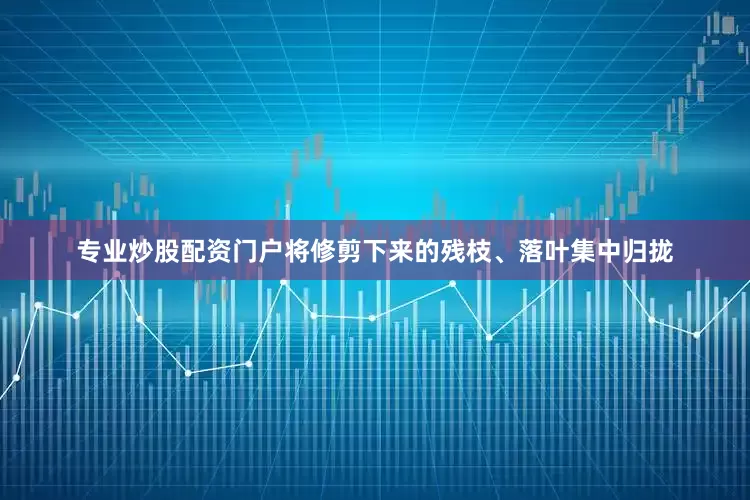 专业炒股配资门户将修剪下来的残枝、落叶集中归拢