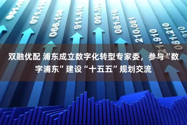 双融优配 浦东成立数字化转型专家委，参与“数字浦东”建设“十五五”规划交流