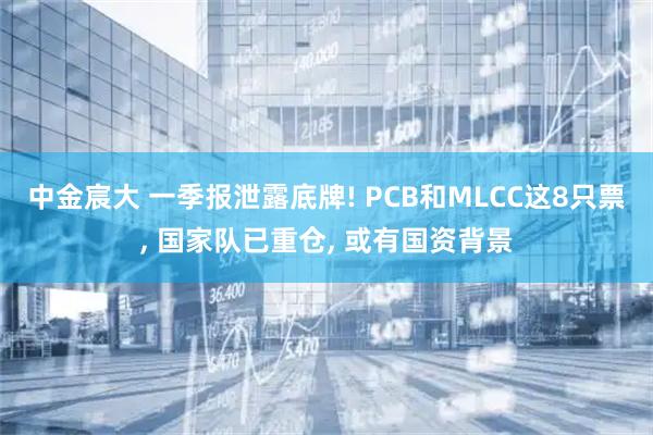 中金宸大 一季报泄露底牌! PCB和MLCC这8只票, 国家队已重仓, 或有国资背景